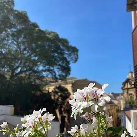 Ampio In Pieno Centro Storico. * Palermo